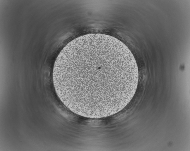 X0000116780615201001281655