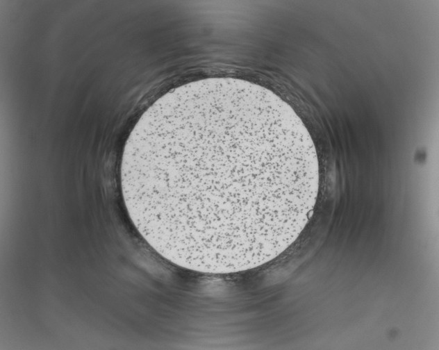 X0000116780616201001281655