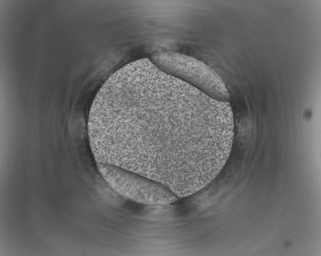 X0000116780617201001281655