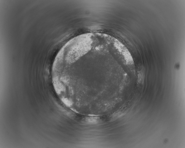 X0000116780618201001281655