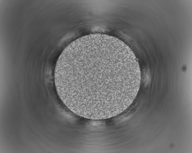 X0000116780619201001281655