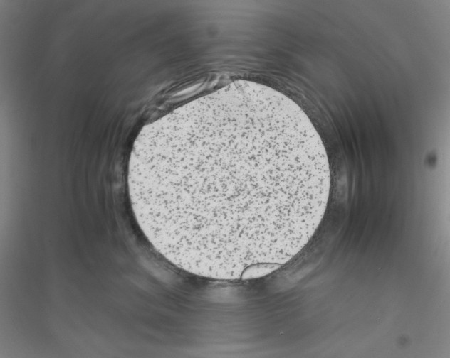 X0000116780620201001281655