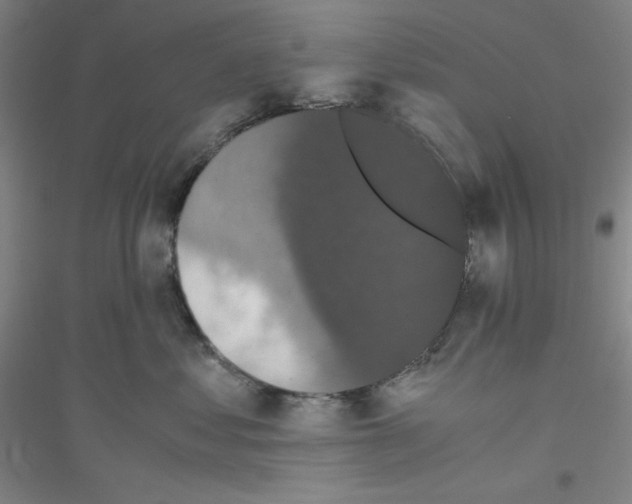 X0000116780621201001281655