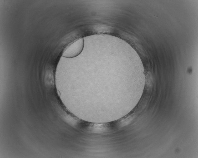 X0000116780622201001281655