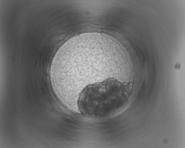 X0000116780624201001281655