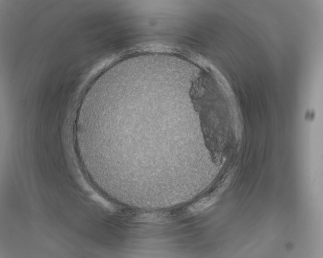 X0000116780625201001281654