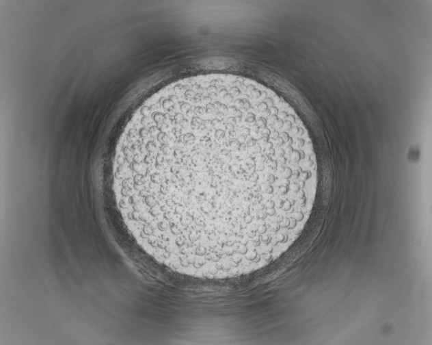 X0000116780626201001281655