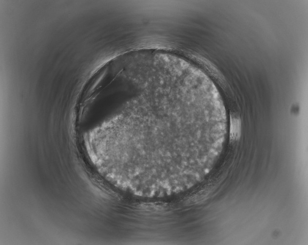 X0000116780627201001281655