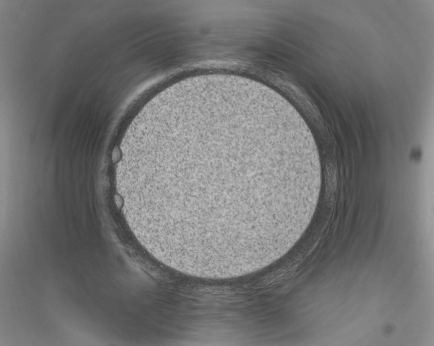 X0000116780628201001281655