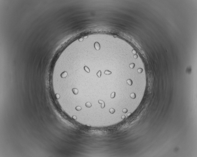 X0000116780629201001281655