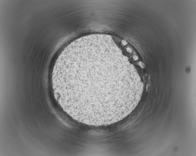 X0000116780630201001281655