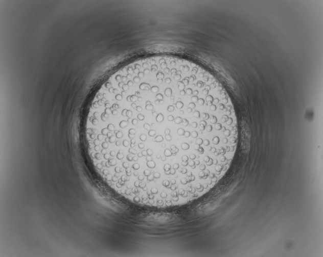 X0000116780631201001281655