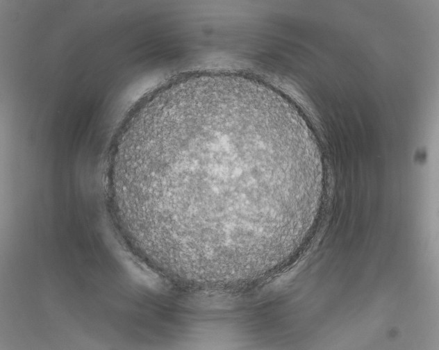 X0000116780632201001281655