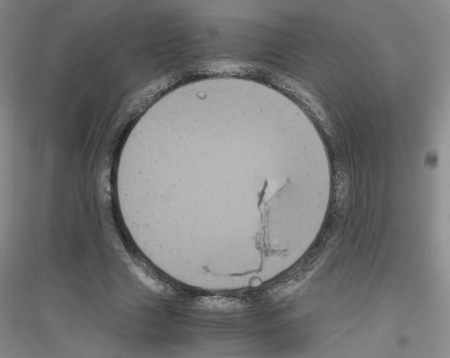 X0000116780633201001281655