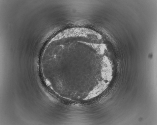 X0000116780634201001281655