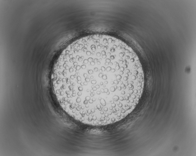 X0000116780635201001281655