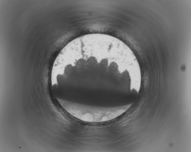 X0000116780637201001281655