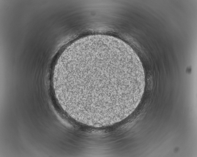 X0000116780638201001281655