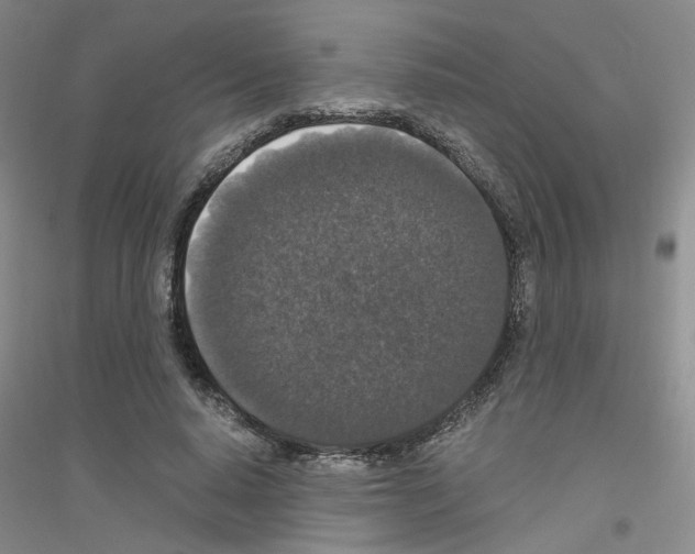 X0000116780640201001281655