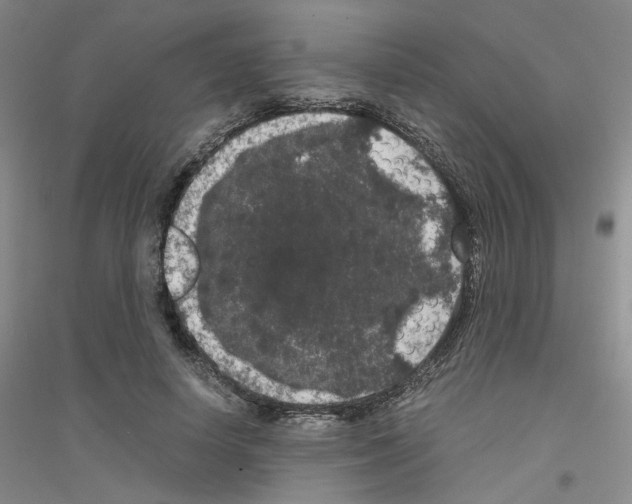 X0000116780642201001281655