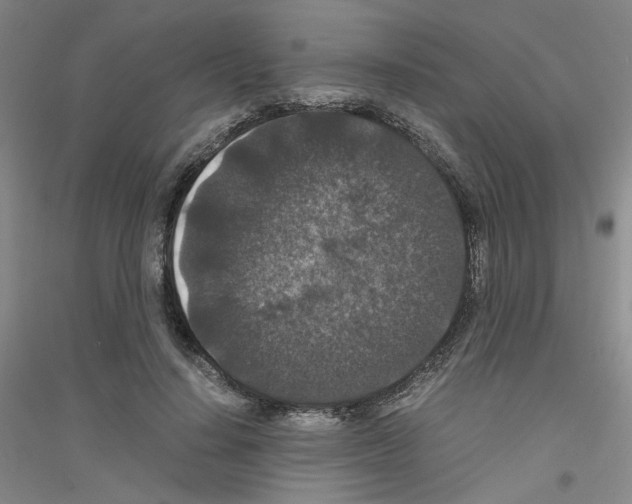 X0000116780644201001281655