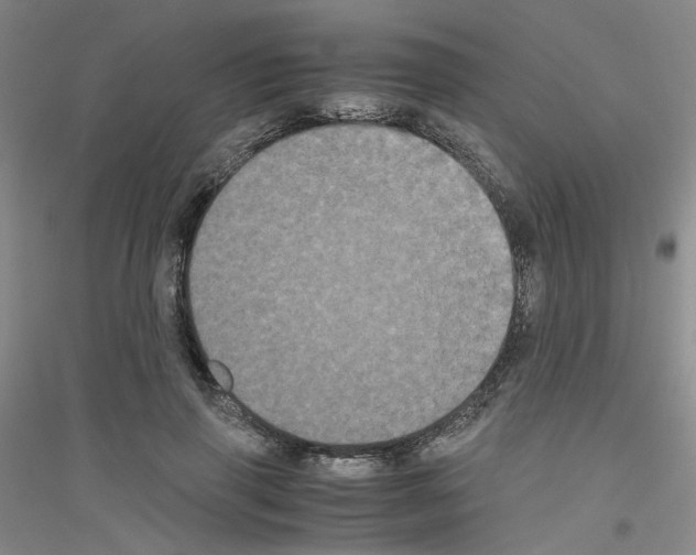 X0000116780645201001281655