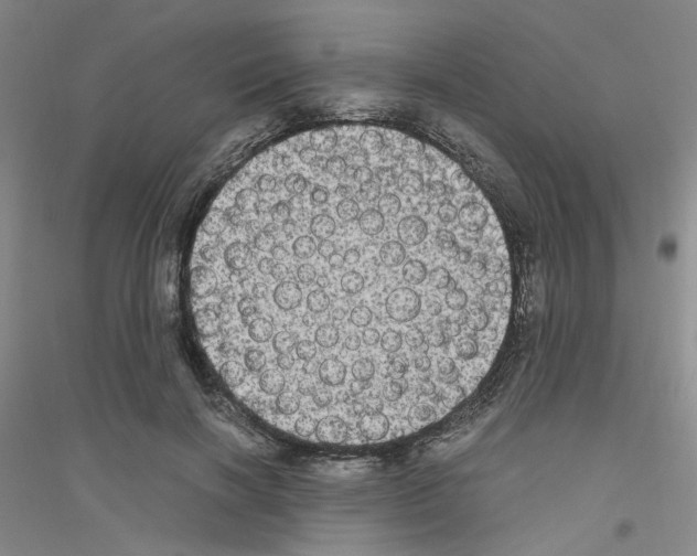 X0000116780646201001281655