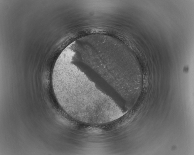 X0000116780648201001281655