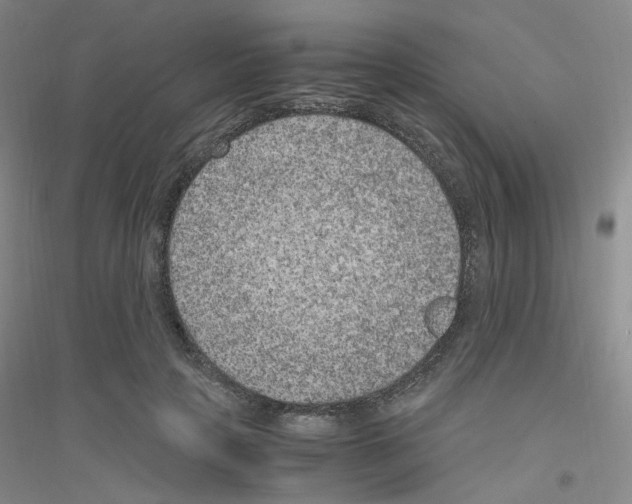 X0000116780649201001281655