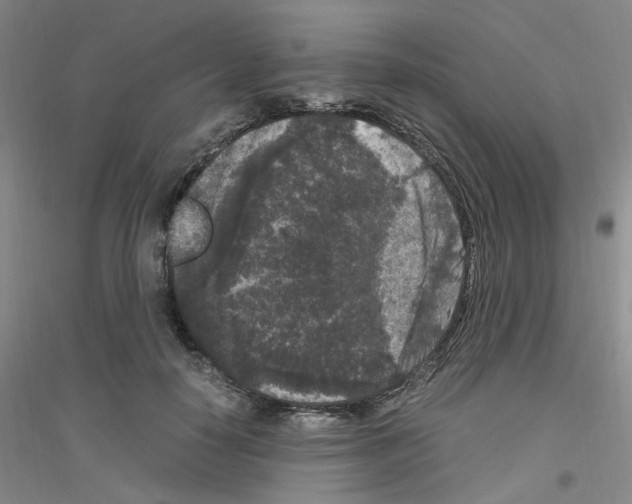 X0000116780650201001281655