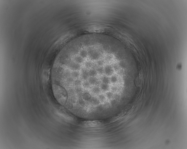 X0000116780652201001281655