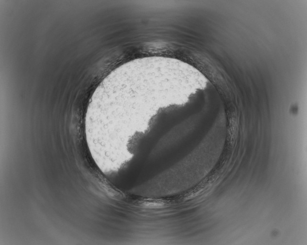 X0000116780653201001281655