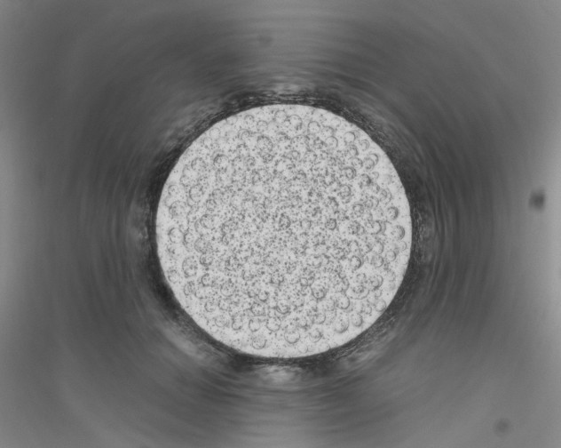 X0000116780654201001281655