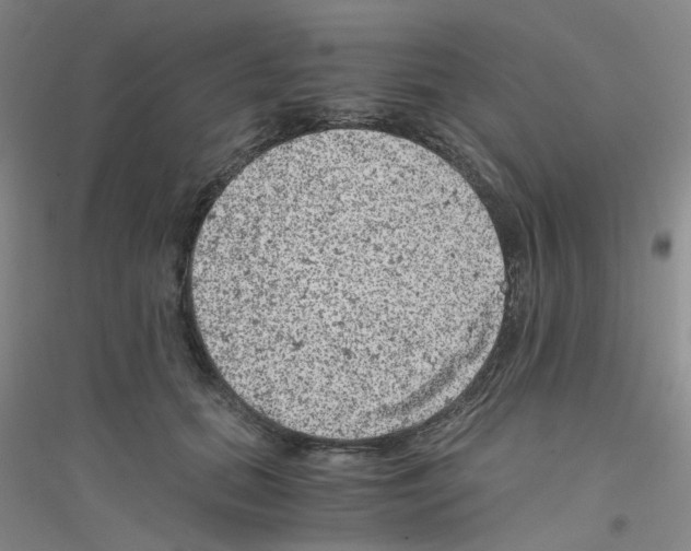 X0000116780655201001281655