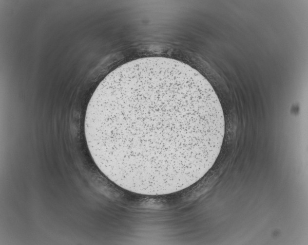 X0000116780656201001281655