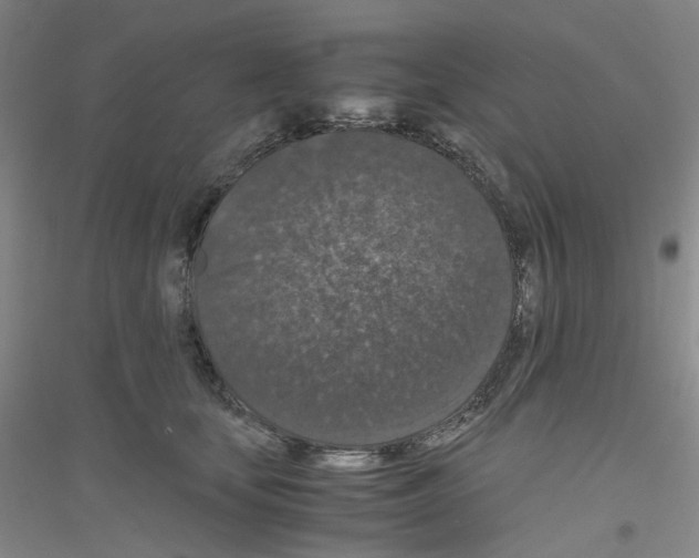 X0000116780659201001281655