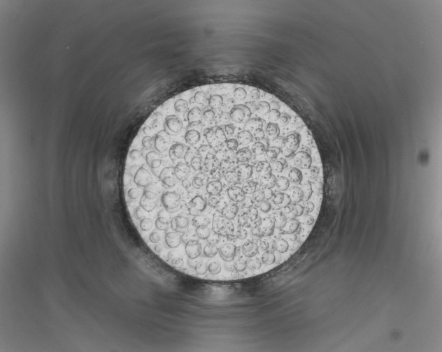 X0000116780662201001281655