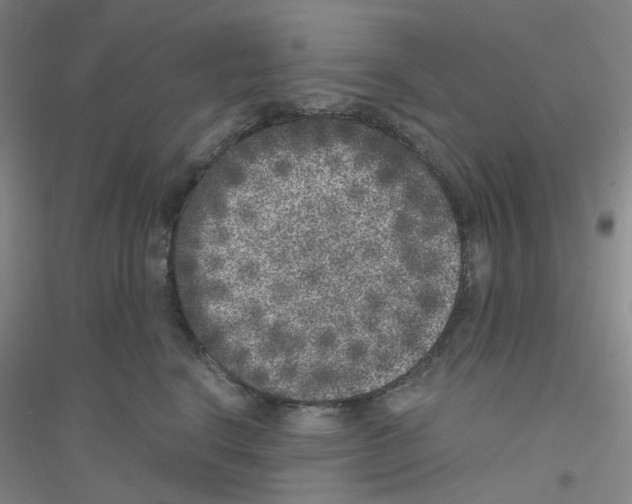 X0000116780664201001281655