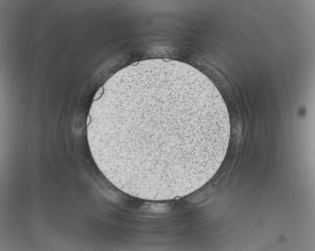 X0000116780665201001281655