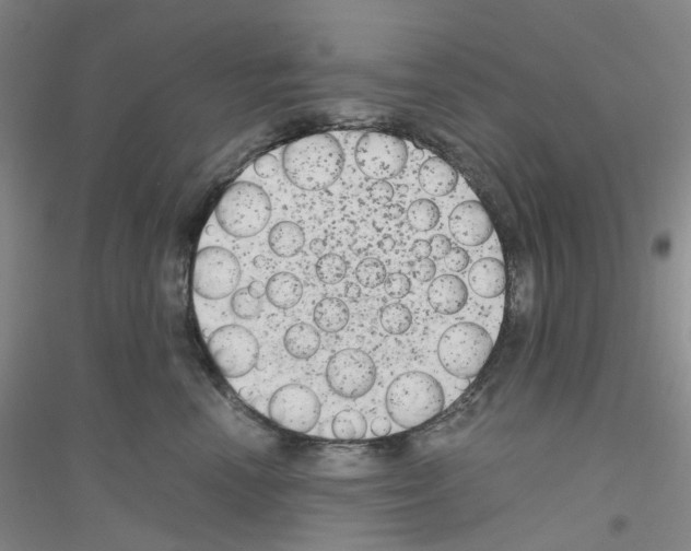 X0000116780666201001281655