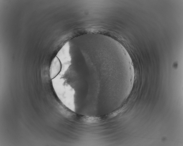 X0000116780670201001281655