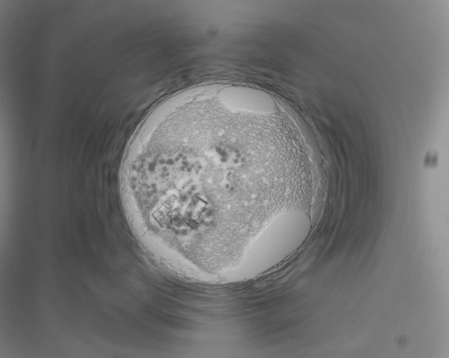 X0000116780672201001281655