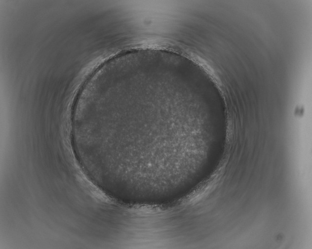 X0000116780673201001281654