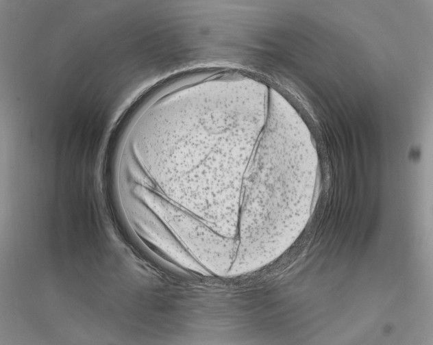 X0000116780676201001281654