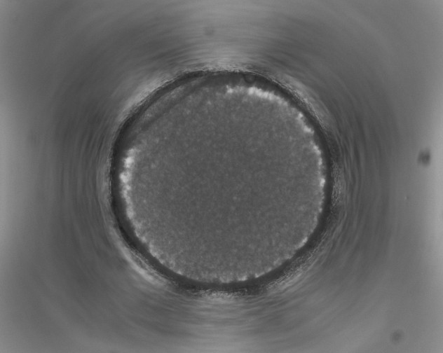 X0000116780677201001281654