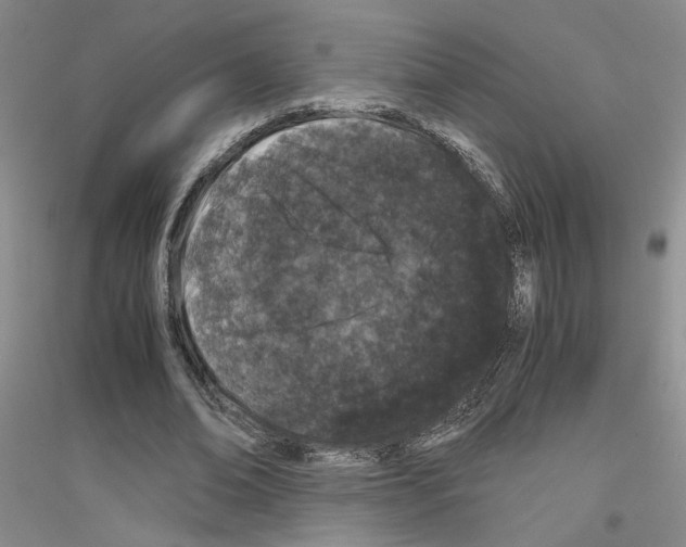 X0000116780678201001281654