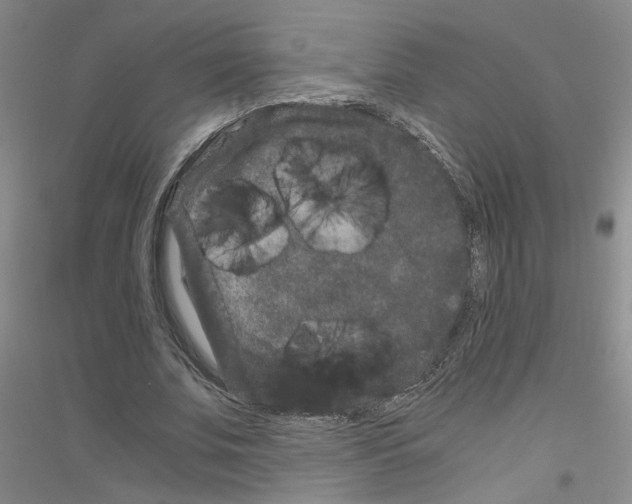 X0000116780679201001281654