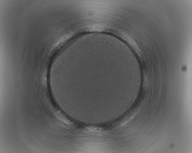 X0000116780681201001281654