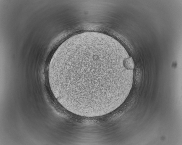 X0000116780682201001281654