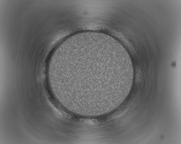 X0000116780683201001281654